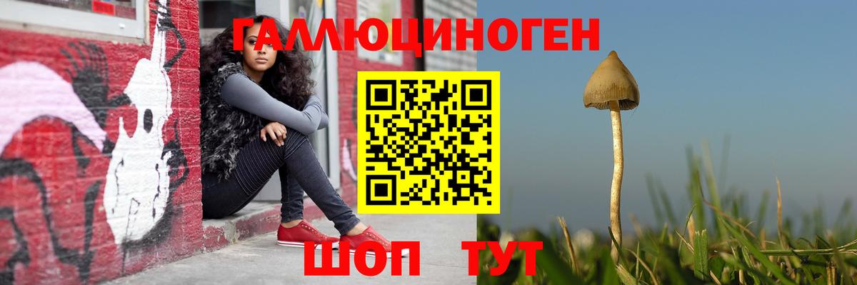 Галлюциногенные грибы Cubensis  Вход с VPN  Кропоткин  Псилоцибиновые грибы Psilocybe 